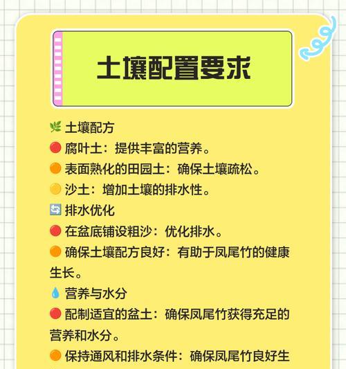 凤尾竹种子种植的正确步骤和注意事项是什么？