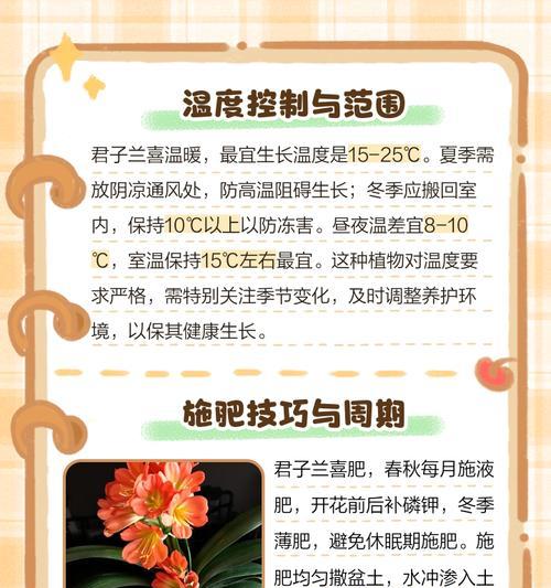 如何鉴别君子兰的不同品种？君子兰品种的特征是什么？