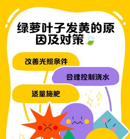 绿箩叶子发黄的补救措施有哪些？