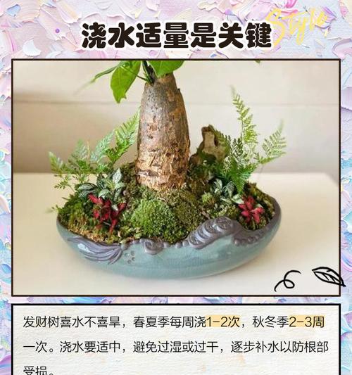 叶子下垂的常见原因有哪些？如何解决？