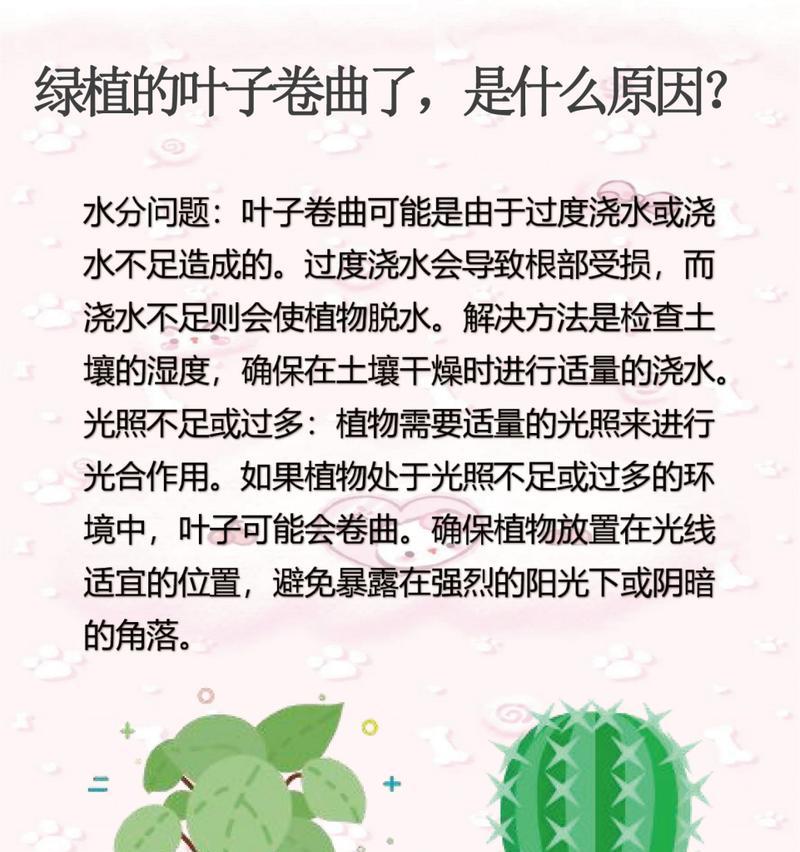 叶子下垂的常见原因有哪些？如何解决？