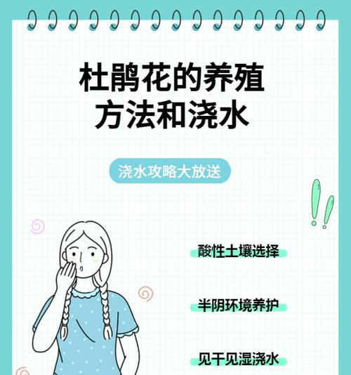 杜鹃怎么换土？换土步骤和注意事项是什么？