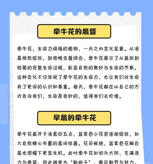 牵牛花什么时候开花？牵牛花种植要点是什么？