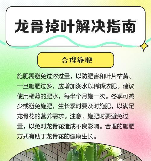 龙骨养护技巧有哪些？龙骨叶子发黄怎么办？