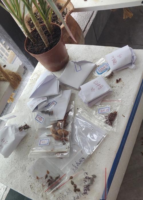 酢浆草种子保存的最佳方法是什么？怎样延长种子寿命？