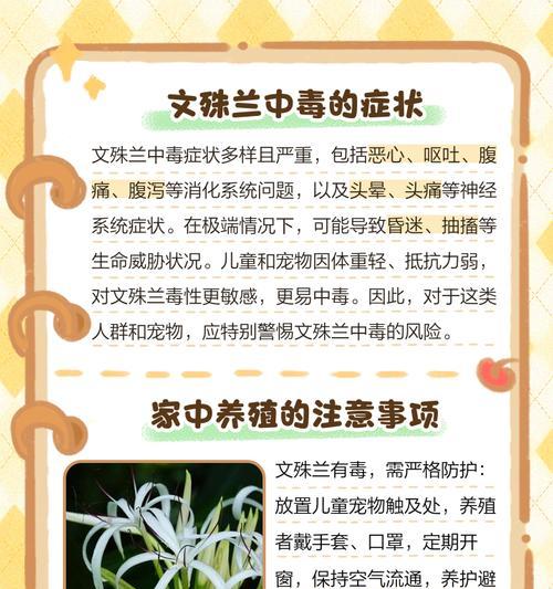 文殊兰花的养护技巧有哪些？