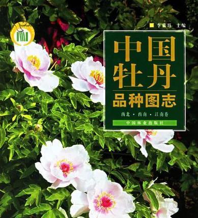牡丹品种名称有哪些？如何选择牡丹品种？