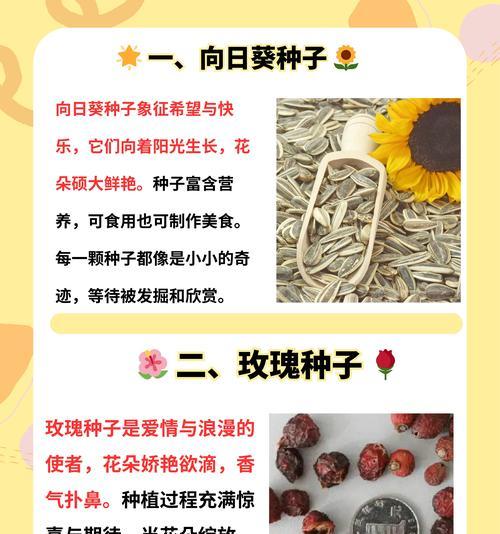 哪些花的种子种植起来最简单？