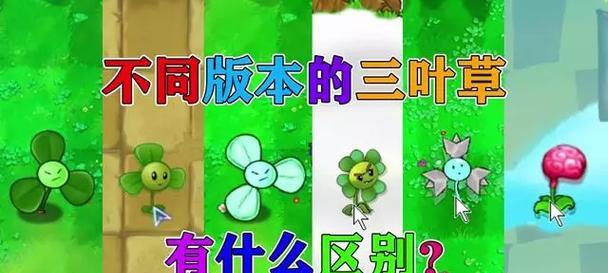 植物有哪些主要分类？如何区分不同类型的植物？