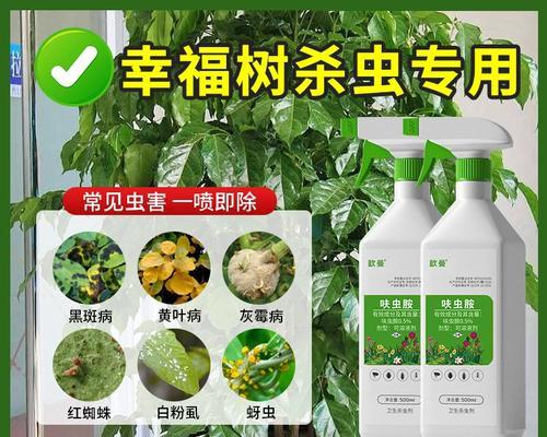 如何有效消灭植物上的蚧虫？