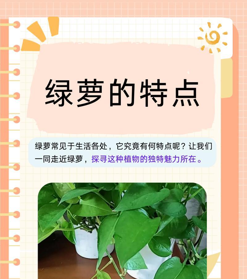 绿萝繁殖方法有哪些？家庭繁殖绿萝的步骤是什么？
