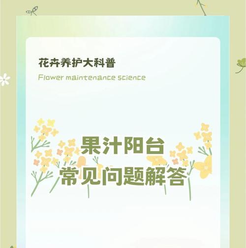 养好花的秘诀和常见问题解答是什么？