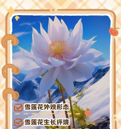 雪莲属于什么植物？雪莲的生长环境和特点是什么？